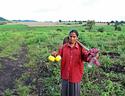 farm-lady-pumpkin-vegetable-uttar-kannada-india-1